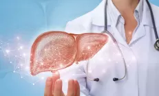 Учёные предупредили, какое лечение губительно для печени