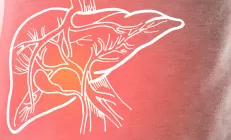 Щелочная фосфатаза: что это и о чем говорит анализ