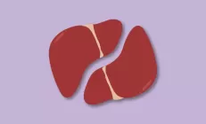 Учёные: Даже легкая жировая болезнь печени повышает риск смерти