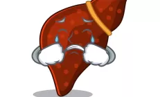 Печеночные ферменты в крови: врачи назвали самые частые причины повышения показателей