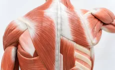 Саркопеническое ожирение: что это и кому угрожает?