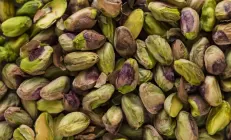 Учёные: Тяжесть коронавируса зависит от уровня селена в организме