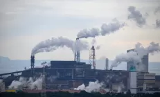 Печень страдает даже при минимальном уровне загрязнения воздуха