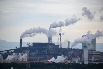 Печень страдает даже при минимальном уровне загрязнения воздуха