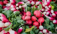 Врач-диетолог назвала лучшие и худшие продукты для печени