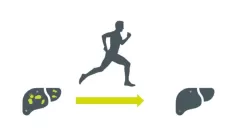 Как регулярные тренировки могут защитить от заболеваний печени, связанных с лишним весом?