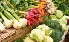 Учёные: Здоровые растительные продукты снижают риск развития ожирения печени