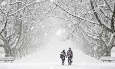 Жители холодных стран более склонны к циррозу печени, выяснили учёные