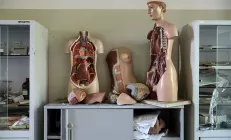 Холангит: симптомы, диагностика и лечение