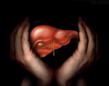 Гепатопротекторы (защита печени)