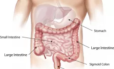Чем питаться человеку с синдромом раздражённого кишечника?
