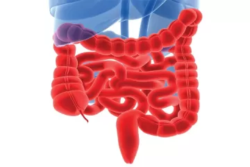 Колит: симптомы и лечение