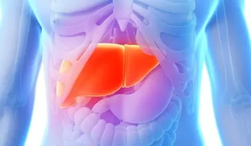 Урсосан – защитник печени