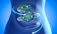 Исследование: Здоровый кишечник – гарант здоровой старости