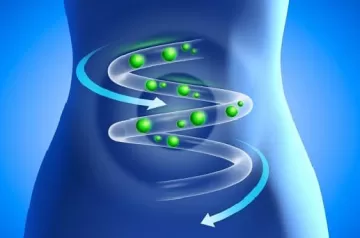 Исследование: Здоровый кишечник – гарант здоровой старости
