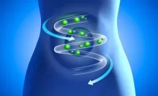 Могут ли пищевые консерванты негативно повлиять на работу кишечника?