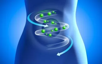 Могут ли пищевые консерванты негативно повлиять на работу кишечника?