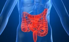 Как сохранить кишечник здоровым во время праздников