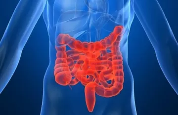 Как сохранить кишечник здоровым во время праздников