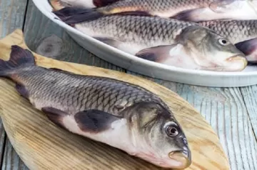 Роспотребнадзор предупредил об опасности паразитов в речной рыбе