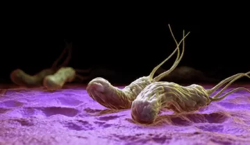 Учёные выяснили, почему у одних людей развивается рак желудка, а у других – нет