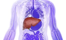 9 простых привычек, которые помогут снизить риск заболеваний печени