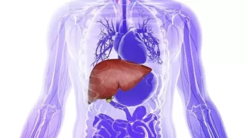 9 простых привычек, которые помогут снизить риск заболеваний печени