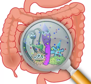 Кишечная микрофлора восстанавливается после антибиотиков только спустя полгода и не полностью