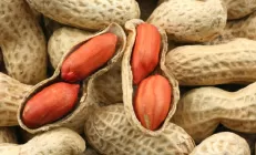 Почему рис, пшено и арахис опасны для печени?