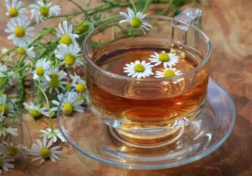 Злоупотребление травяными чаями вредит печени