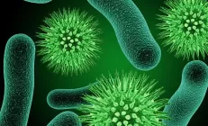 Как нарушения в кишечной микрофлоре могут привести к инсульту