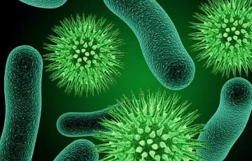 Как нарушения в кишечной микрофлоре могут привести к инсульту