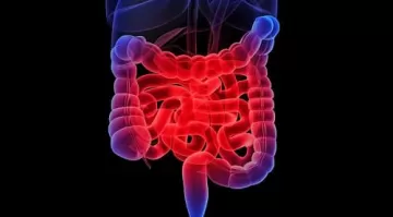 Трудное детство повышает риск синдрома раздраженного кишечника