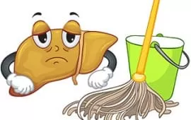 Мифы о чистке печени от токсинов