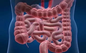 Учёные обнаружили источник развития рака кишечника