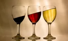 В США запустили масштабное исследование о «пользе» алкоголя