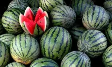 В Роспотребнадзоре рассказали, как не отравиться ранними арбузами