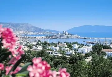 Роспотребнадзор открыл «горячую линию» из-за вспышки вируса Коксаки в Турции