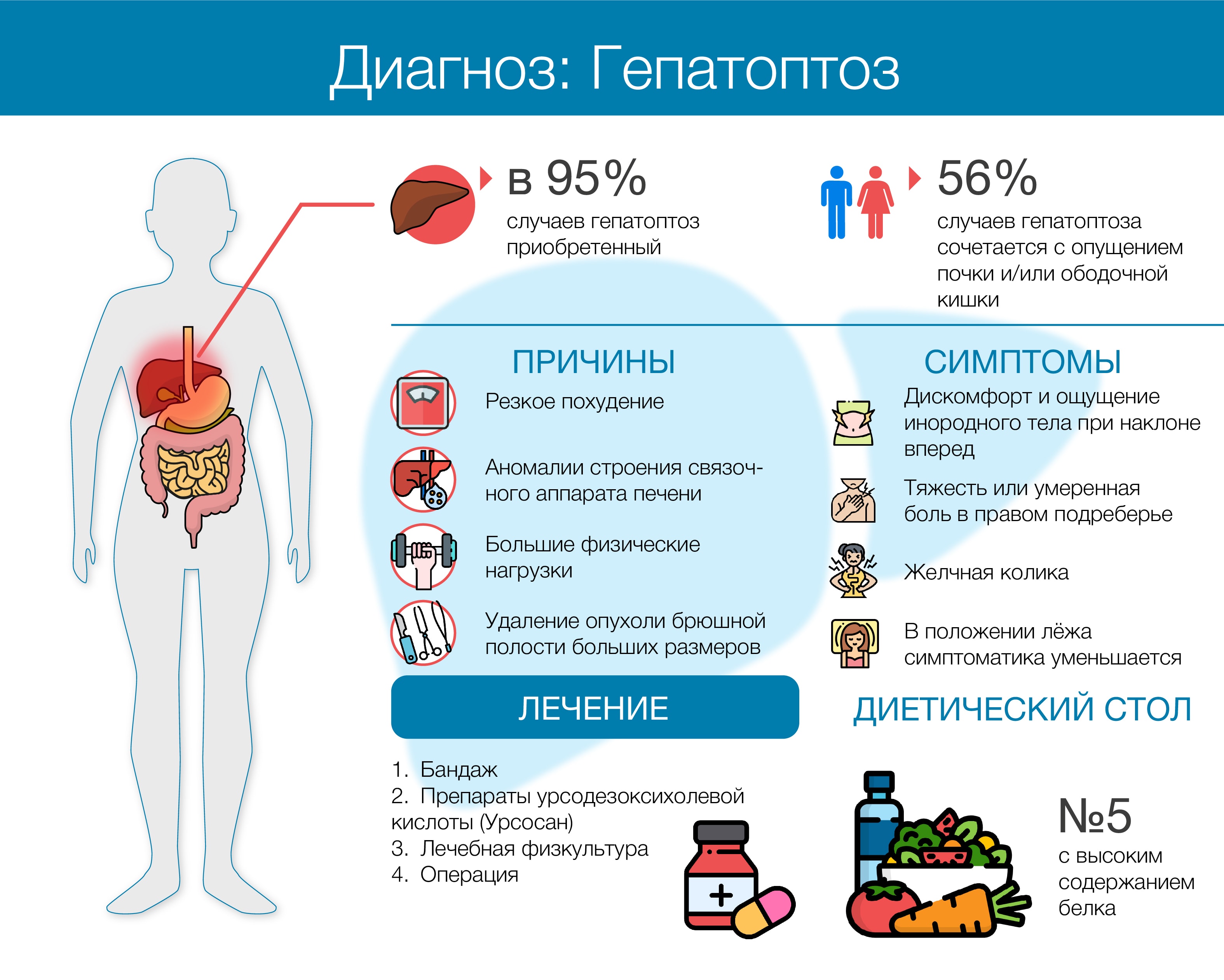 жирового гепатоза печени. клинические стадии жировой гепатоз. признаки гепатомегалии. жировой гепатоз печени симптомы. гепатоптоз печени.