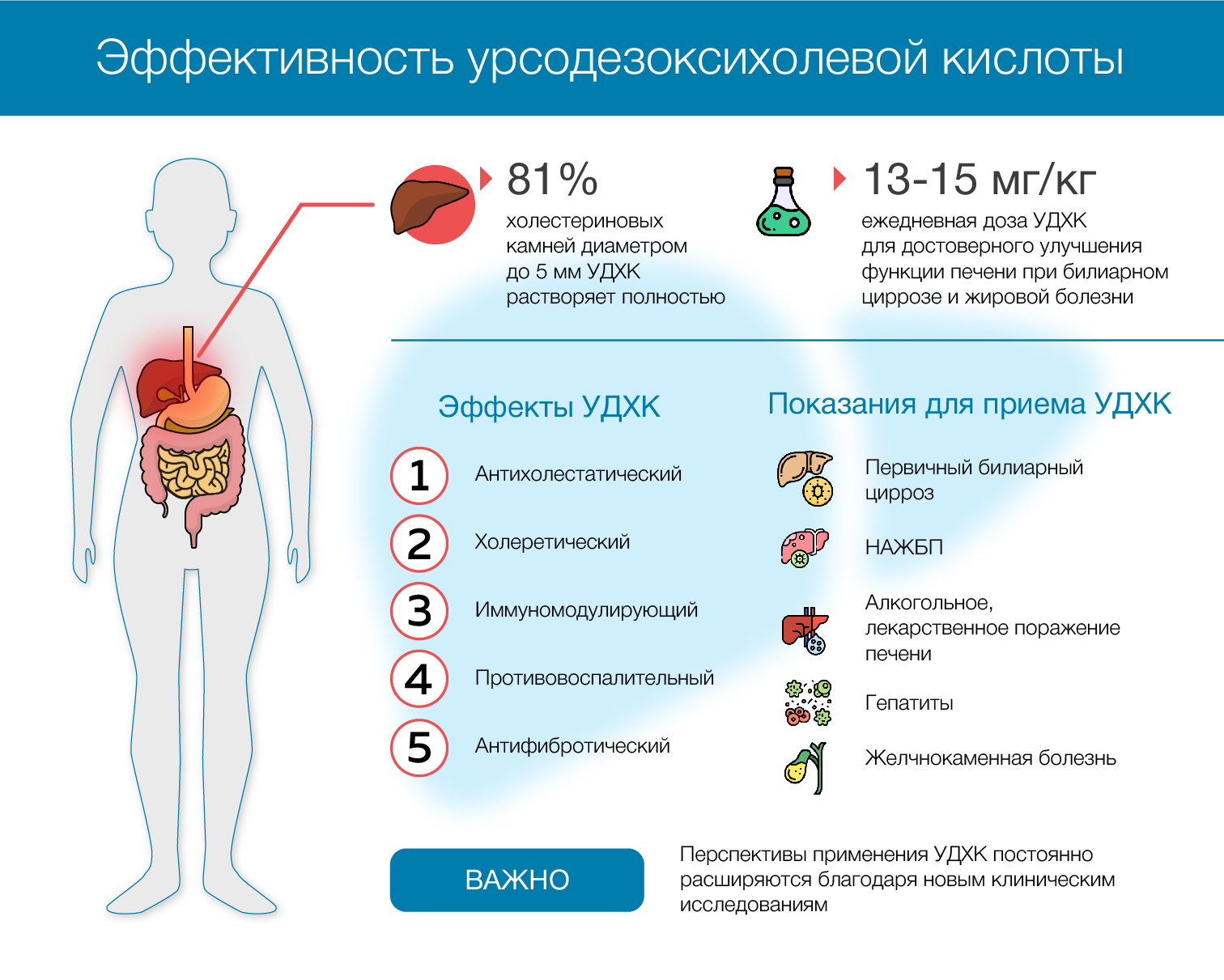 Урсодезоксихолевая Кислота Купить В Ростове На Дону